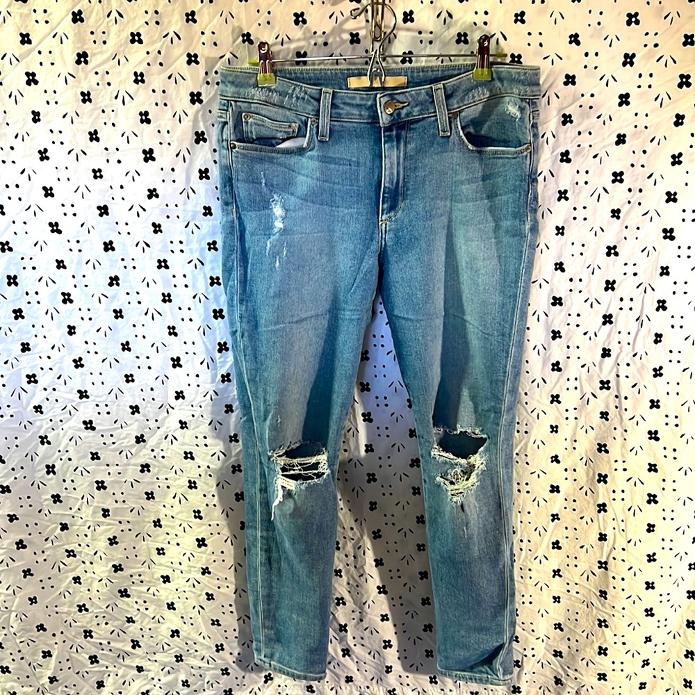 Joe’s The Icon Mid Rise Skinny Ankle